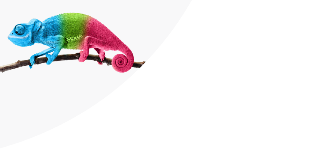 chameleon_Hero_1062x500